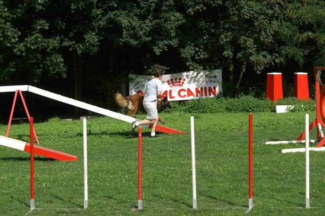 agility 2011-08